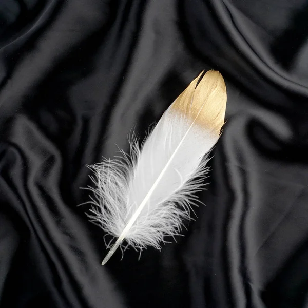 Oro dorado de lujo pluma de cisne blanco dorado sobre fondo de tela de seda negro — Foto de Stock
