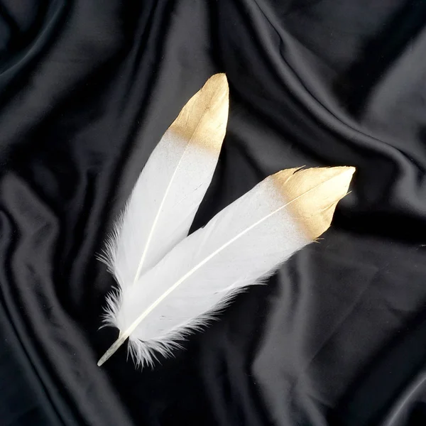 Set of luxury gilded gold golden white swan feather on black silk cloth background — Stock Photo, Image