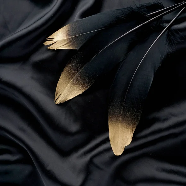 Luxury gilded gold golden black swan feather on silk cloth background — Stock Photo, Image