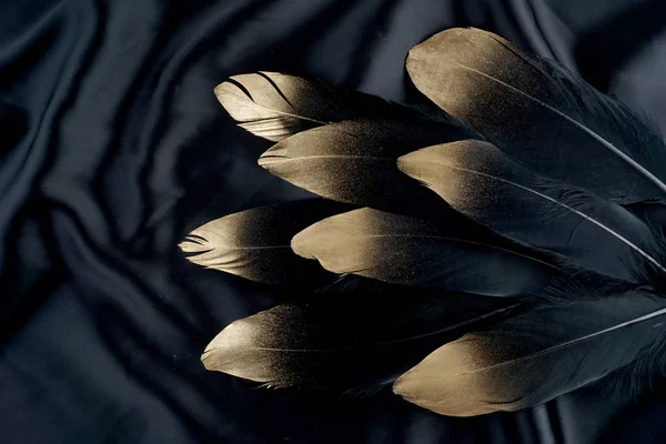 Lüks ipek kumaştan zemin üzerine altın Altın Siyah Kuğu tüy yaldızlı — Stok fotoğraf