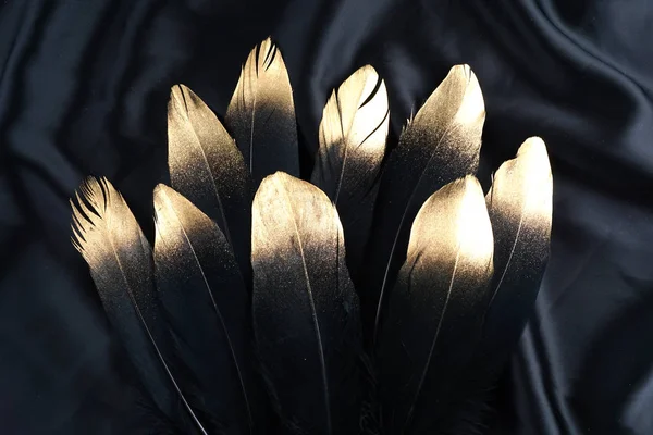 lüks ipek kumaştan zemin üzerine altın Altın Siyah Kuğu tüy yaldızlı