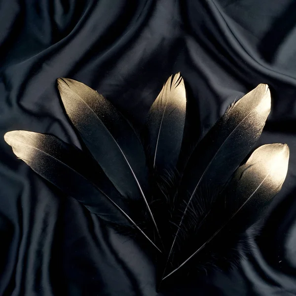 lüks ipek kumaştan zemin üzerine altın Altın Siyah Kuğu tüy yaldızlı