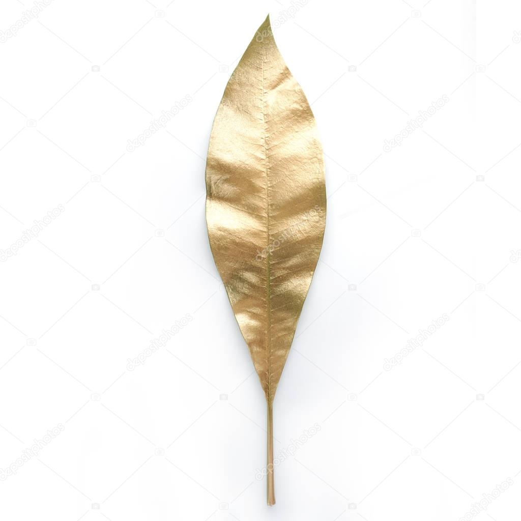 golden leaf design elements. Decoration elements for invitation, wedding cards, valentines day, greeting cards. Isolated on white background.