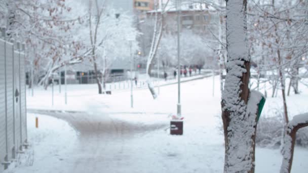 Πόλη στο χιόνι. Θολή άνθρωποι που περπατούν κατά μήκος του δρόμου — Αρχείο Βίντεο