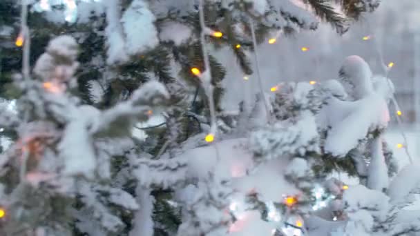 Christmas tree outdoors under the snow — Stock Video