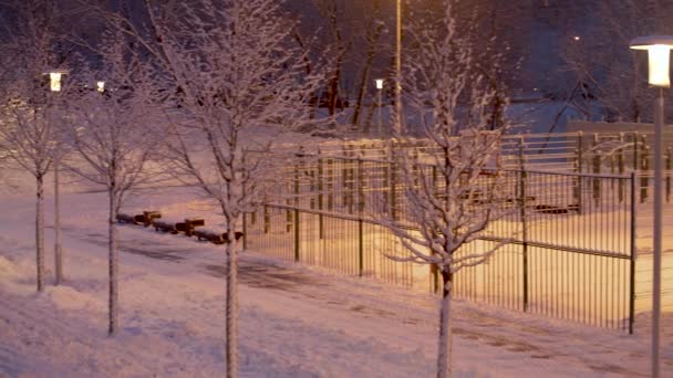 一场大雪过后 公园的全景被新雪覆盖着 人们在操场上玩耍 被街灯的灯光照亮的雪 大雪过后的新雪 — 图库视频影像