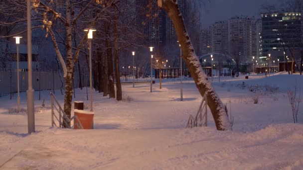 Wieczorem Pokryty Śniegiem Park Miejski Światło Latarni Jasne Okna Domach — Wideo stockowe