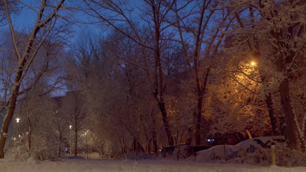 Vintersagan Natt Snöfall Staden Snötäckta Träd Grenar Mot Den Djupa — Stockvideo