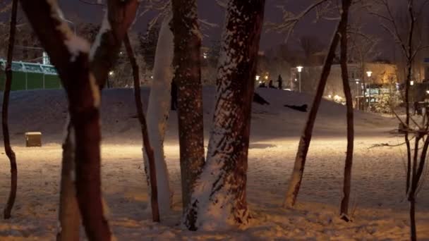 雪に覆われた都市公園で丘を下って乗る子供たち 新鮮な雪 魔法の冬の夜 雪の後の散歩で認識できない人々 パノラマ 安定したショット — ストック動画