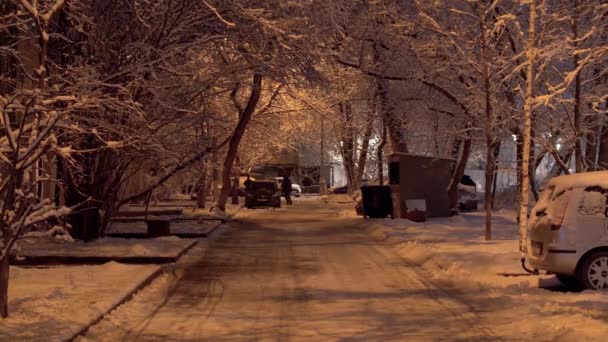 Innenhof Der Stadt Bei Schneefall Schöne Bäume Sind Mit Frisch — Stockvideo