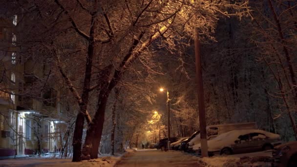 Городской Двор После Снегопада Красивые Деревья Покрыты Недавно Выпавшим Снегом — стоковое видео