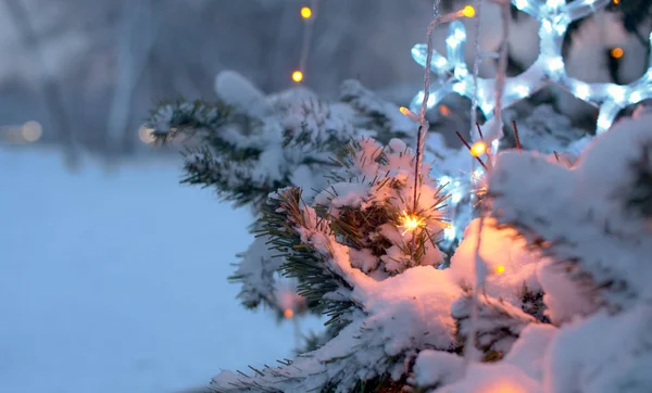 Parktaki bir Noel ağacında yanan maytaplar. — Stok fotoğraf