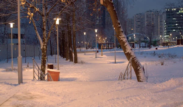 Parque coberto de neve fresca após uma queda de neve — Fotografia de Stock