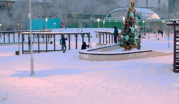 Gente in passeggiata nel parco vicino all'albero di Capodanno — Foto Stock