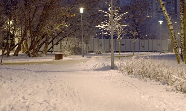 Hiver nuit ville parc — Photo