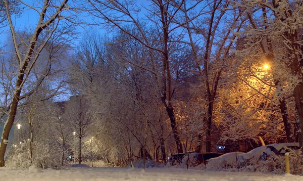 Cuento de hadas de invierno. Nieve nocturna en la ciudad — Foto de Stock