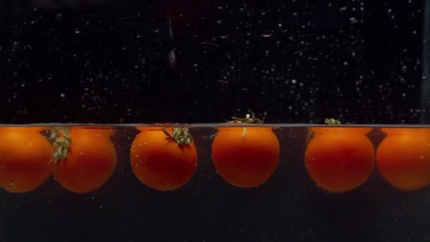 Nahaufnahme Mit Schwimmenden Tomaten Aus Dem Wasser Auf Schwarzem Hintergrund — Stockvideo