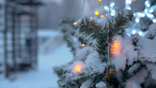 屋外でクリスマスツリーの雪に覆われた枝を閉じます ガーランドのちらつきの光 市の休日の装飾 市内の降雪 — ストック動画