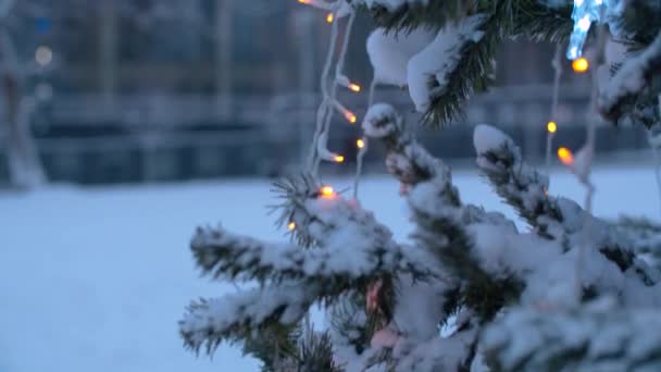 Close Branches Christmas Tree Outdoors Snow City Holiday Decorations Snowfall — Stock Video