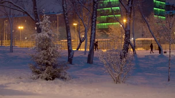 市内公園で冬の夜 この土地は最近降った雪で覆われている 新鮮な雪が木の上にある 提灯の光 認識できない人々が道を歩いている — ストック動画