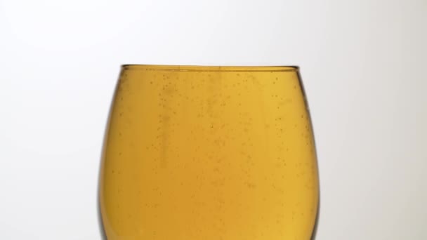 Close Beer Transparent Glass Side View White Background Bubbles Rising — 비디오