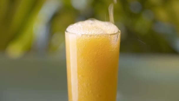 Boisson orange vertigineuse dans un verre transparent. Fermer boisson orange pétillante sur fond naturel à l'extérieur. Boissons rafraîchissantes à la limonade 