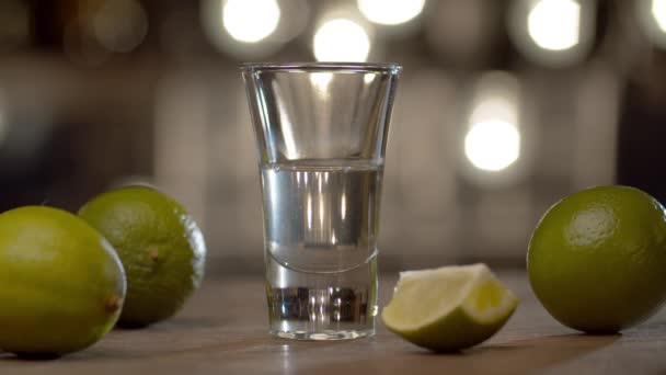 Készítek Egy Rövid Italos Vörös Kutyát Zárjuk Csapost Aki Tequilát — Stock videók