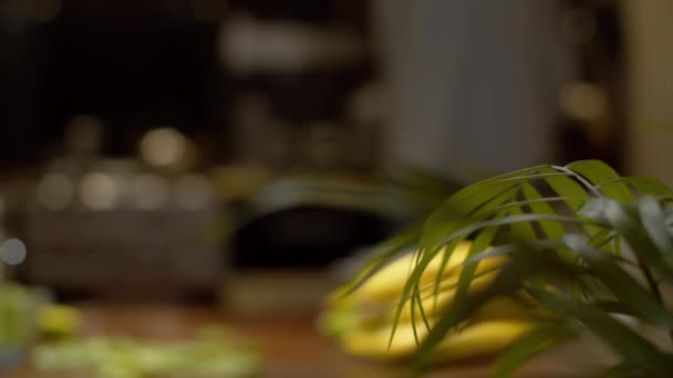 Bir ev bitkisinin yaprakları — Stok video