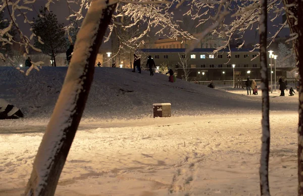 Sneeuw Bedekt Stadspark Avond Licht Van Lantaarns Winterstadsgezicht Kinderen Die — Stockfoto