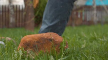 Çimenlerde büyük bir taş yatıyor.