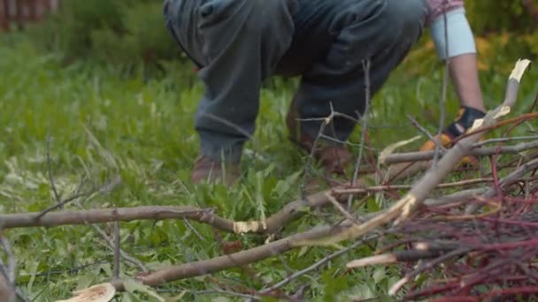 Hombre cortando rama de árbol para una hoguera con un hacha — Vídeos de Stock