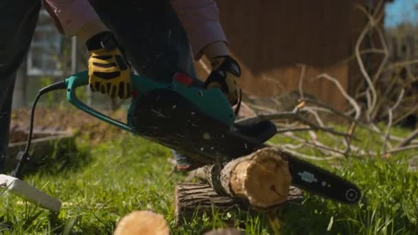 Mani di una donna che taglia l'albero nel cortile — Video Stock