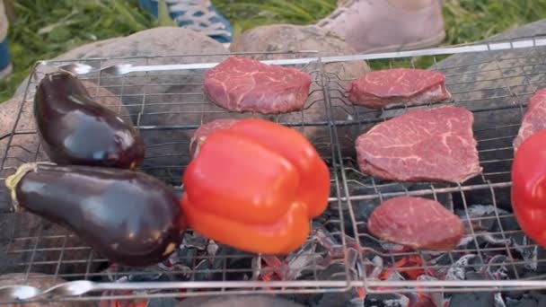 Gegrilltes Rindfleisch und Paprika — Stockvideo