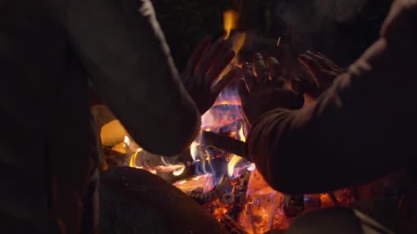 Familie opwarming handen op het kampvuur — Stockvideo