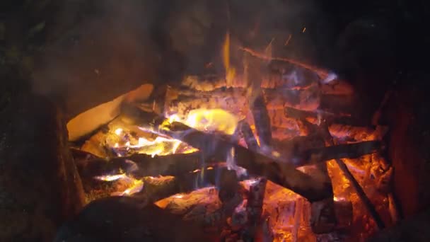 Línguas de chama em um fogo noturno — Vídeo de Stock