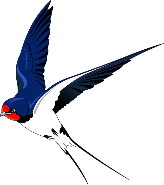 Swallow cartoon style icon — Stockový vektor