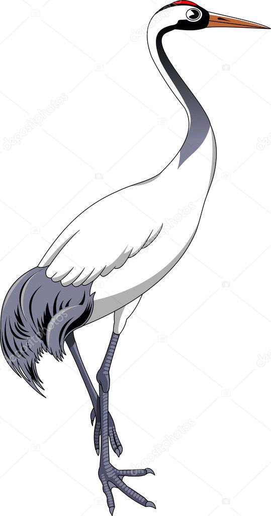 crane bird cartoon style icon