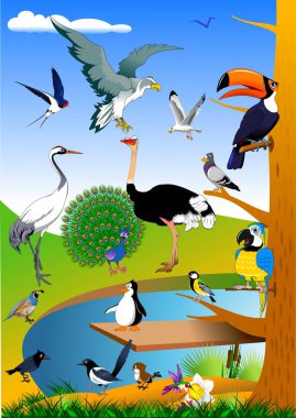 doğa illustratin içinde kuşlar