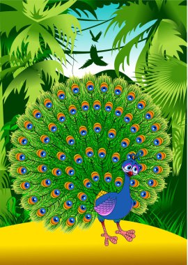 Orman çizimde peacock