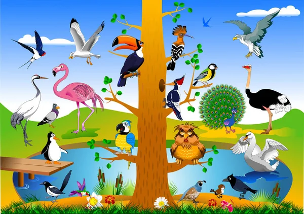 Reino de las aves illustratin — Vector de stock
