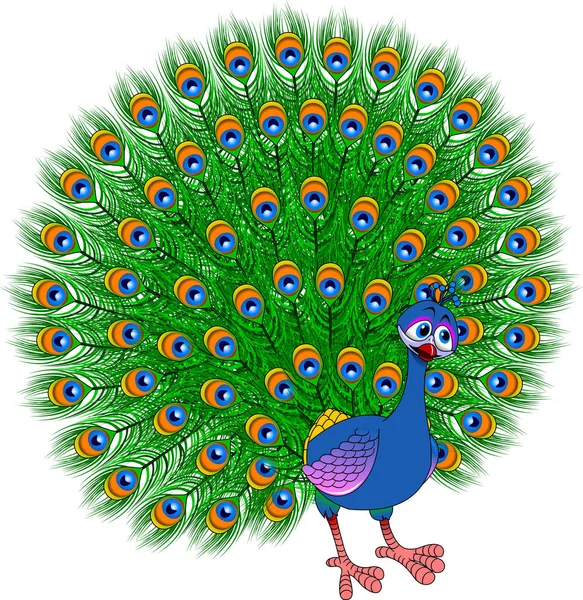Ilustración de aves del pavo real — Archivo Imágenes Vectoriales