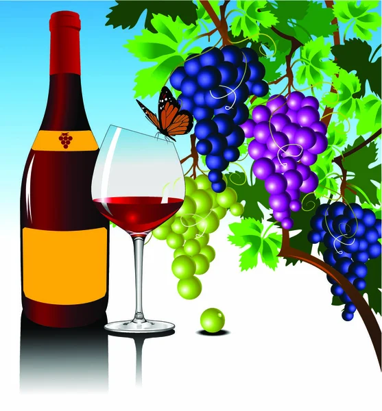 Grape bushes with bottle and glass — Stock Vector