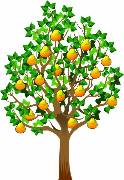 Δέντρο αχλαδιών με ώριμα φρούτα — Διανυσματικό Αρχείο