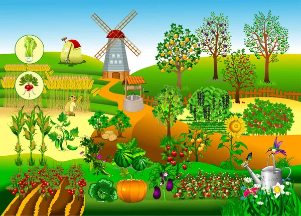 Big farm with a windmill — Stock Vector
