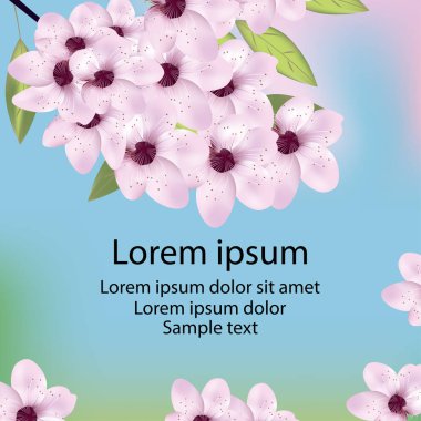 Kiraz veya sakura çiçeği ve metin ile kartı. Vektör