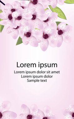 Kiraz veya sakura çiçeği ve metin ile kartı. Vektör