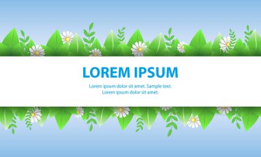 Papatya çiçekler afiş ve mavi bir arka plan üzerinde yaprak. Posterler için Bahar ve yaz tatil tebrik. Vektör