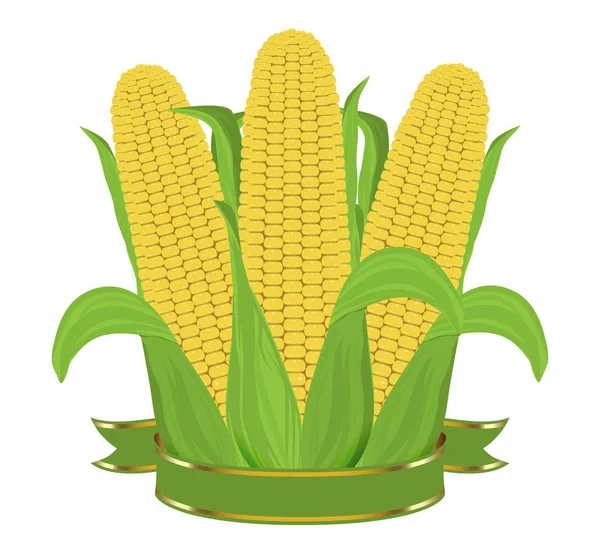 Drie rijpe maïs met bladeren en lint geïsoleerd op een witte achtergrond. Vector — Stockvector