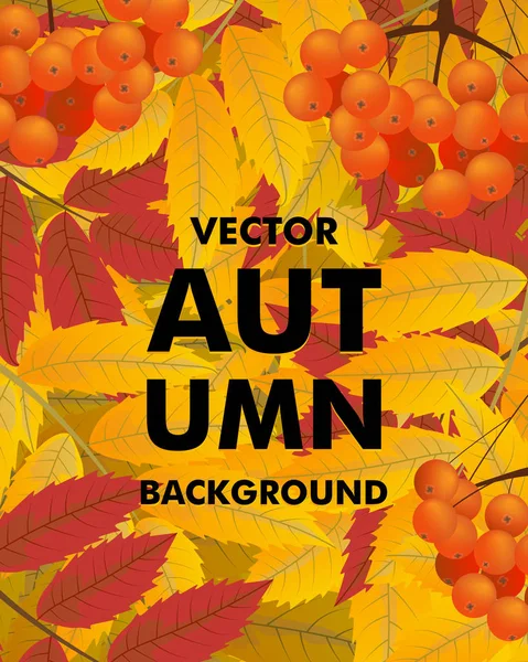Outono fundo vertical com rowan, bagas e folhas, fall.Vector — Vetor de Stock