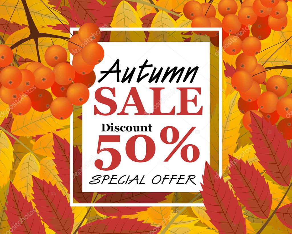 Background with rowan, berries, leaves, and sign autumn sale, fall. Vector